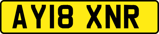 AY18XNR