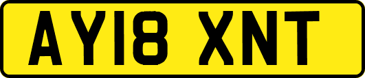 AY18XNT