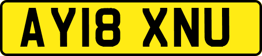 AY18XNU