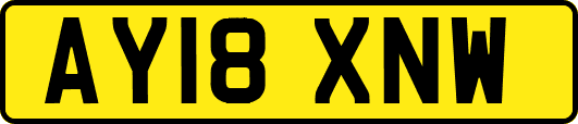 AY18XNW
