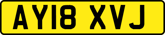 AY18XVJ