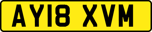 AY18XVM