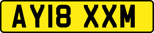 AY18XXM