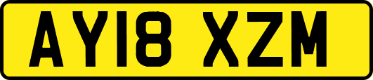 AY18XZM