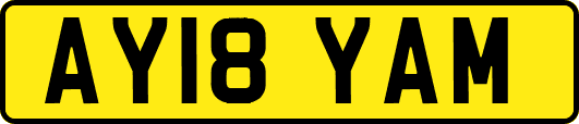AY18YAM