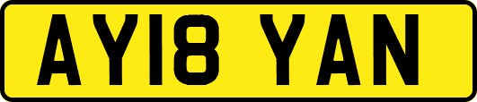 AY18YAN