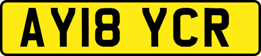AY18YCR