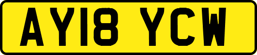 AY18YCW