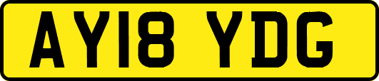 AY18YDG