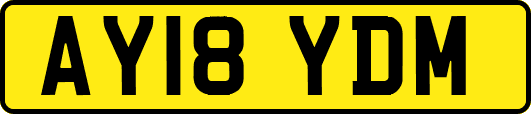AY18YDM