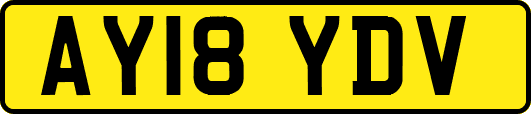 AY18YDV