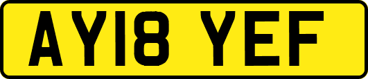 AY18YEF