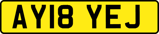 AY18YEJ
