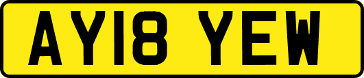 AY18YEW