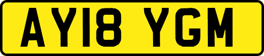 AY18YGM