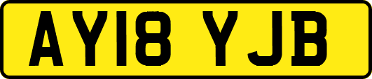 AY18YJB