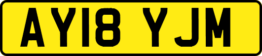AY18YJM