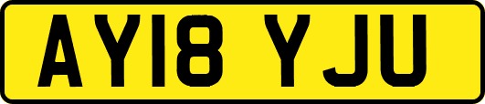 AY18YJU