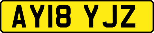 AY18YJZ