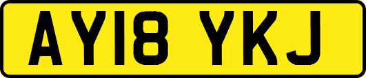 AY18YKJ