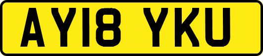 AY18YKU