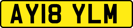 AY18YLM