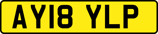 AY18YLP