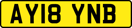 AY18YNB