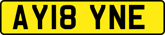 AY18YNE
