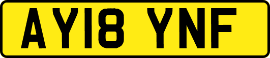 AY18YNF