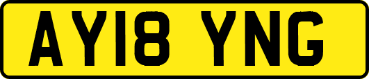 AY18YNG