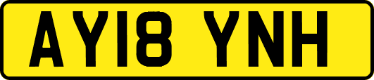AY18YNH