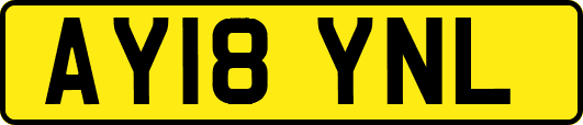 AY18YNL