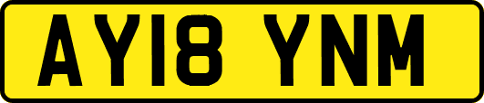 AY18YNM