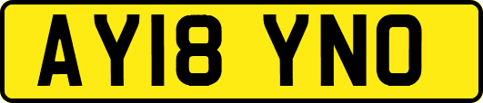 AY18YNO