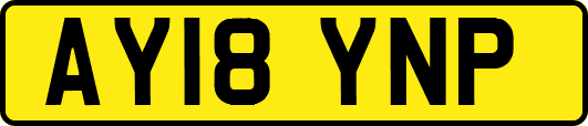 AY18YNP