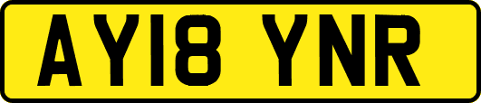 AY18YNR