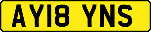AY18YNS