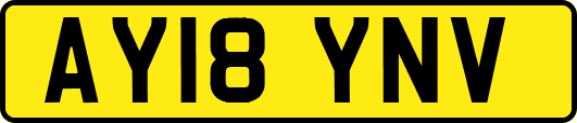 AY18YNV