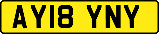 AY18YNY