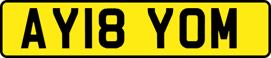 AY18YOM