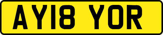 AY18YOR
