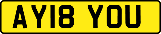 AY18YOU