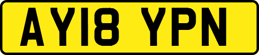 AY18YPN