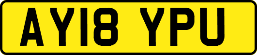AY18YPU
