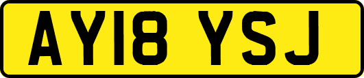 AY18YSJ