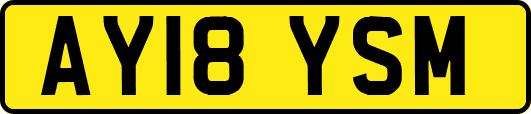 AY18YSM