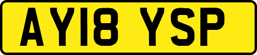 AY18YSP