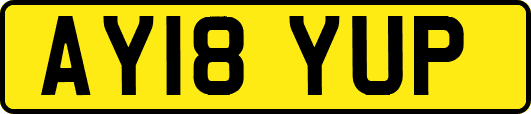 AY18YUP