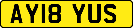 AY18YUS